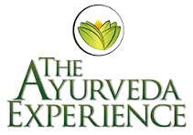 The Ayurveda Experience logo
